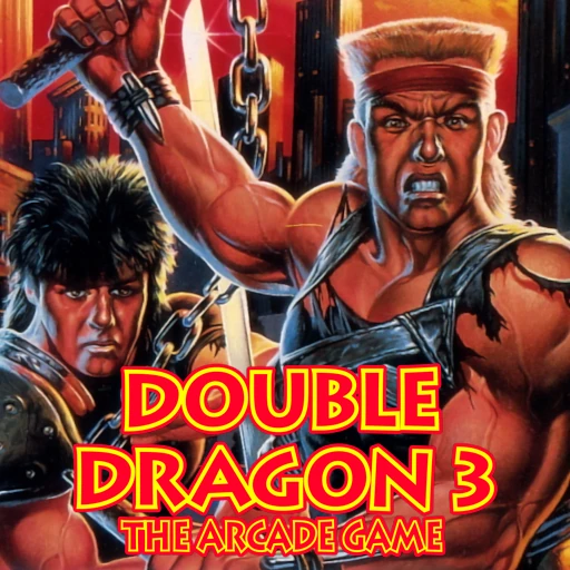 Double Dragon 3: The Arcade Game