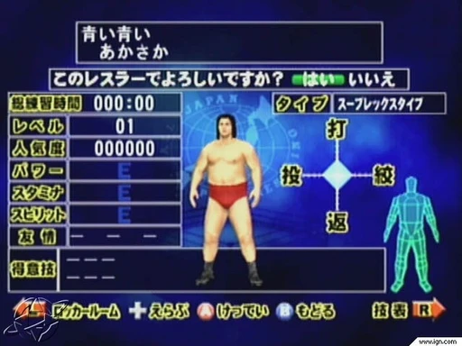 Giant Gram 2000: All-Japan Pro Wrestling 3