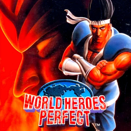 World Heroes Perfect